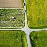 En 2023, 19% des terres assolées et des vignobles ont été exploités sans herbicides en Suisse (illustration). KEYSTONE/MICHAEL BUHOLZER